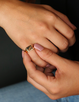 Anello Mignolo Square